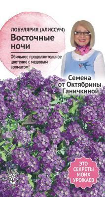 Алиссум Восточные ночи 0,1 г Ганичкина в интернет гипермаркете «Планета Лета». Фото