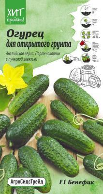 Огурец Бенефик F1 7шт в интернет гипермаркете «Планета Лета». Фото