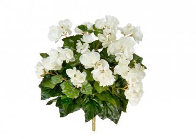 Бегония куст кремовый в-28 см 6/48, 20.1088CR в интернет гипермаркете «Планета Лета». Фото