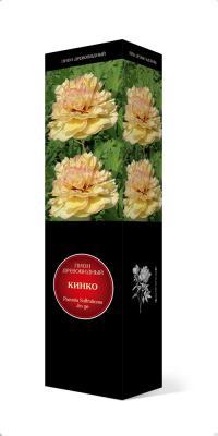 Пион древовидный Кинко/ЦКорЛюкс в интернет гипермаркете «Планета Лета». Фото