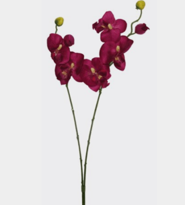 Фаленопсис (H-140см) DB-37209 в интернет гипермаркете «Планета Лета». Фото