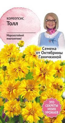 Кореопсис Толл 0,1 гр Ганичкина Ганичкина в интернет гипермаркете «Планета Лета». Фото