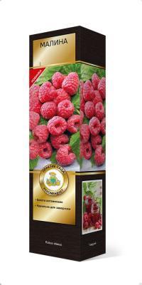 Малина ремонтантные сорта Геракл/ЦКорЛюкс в интернет гипермаркете «Планета Лета». Фото