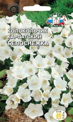 Колокольчик Белоснежка карпатский, белый в интернет гипермаркете «Планета Лета». Фото
