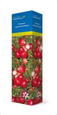 Клюква крупноплодная Стивенс/ЦКор в интернет гипермаркете «Планета Лета». Фото