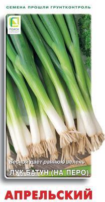 Лук батун Апрельский (ЦВ) 1гр. в интернет гипермаркете «Планета Лета». Фото