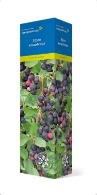 Ирга канадская/ЦКор в интернет гипермаркете «Планета Лета». Фото