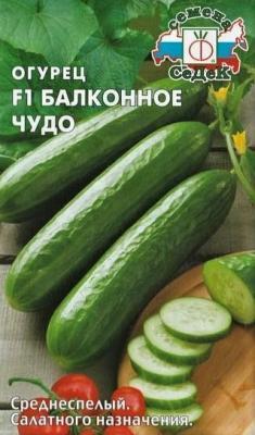 Огурец Балконное Чудо F1 в интернет гипермаркете «Планета Лета». Фото