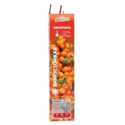 Облепиха Великан/ЦКор Планета Лета в интернет гипермаркете «Планета Лета». Фото Облепиха Великан/ЦКор в интернет гипермаркете «Планета Лета». Фото
