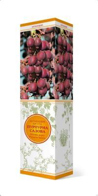 Актинидия аргута Пурпурна Садова (жен)/ЦКор в интернет гипермаркете «Планета Лета». Фото