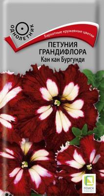 Петуния грандифлора Кан кан бургунди (ЦВ) 10шт. в интернет гипермаркете «Планета Лета». Фото