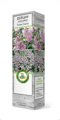 Дейция шершавая Розеа Плена/ЦКор в интернет гипермаркете «Планета Лета». Фото