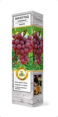Виноград плодовый Анюта/ЦКор П в интернет гипермаркете «Планета Лета». Фото