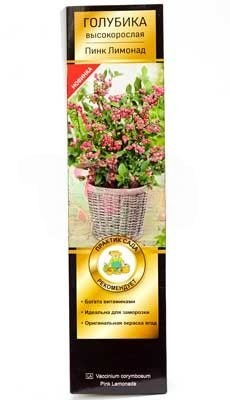 Голубика высокорослая Пинк Лимонад/ЦКорЛюкс П в интернет гипермаркете «Планета Лета». Фото