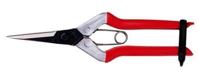 Ножницы д/сбора фруктов с прям лезв KS-55C в интернет гипермаркете «Планета Лета». Фото