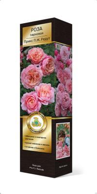 Роза Гийо парковая Прикс П.Ж.Редут Люкс П в интернет гипермаркете «Планета Лета». Фото