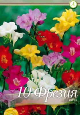 STA Фрезия Freesia Single Mixed (x10)  в интернет гипермаркете «Планета Лета». Фото STA Фрезия Freesia Single Mixed (x10) в интернет гипермаркете «Планета Лета». Фото