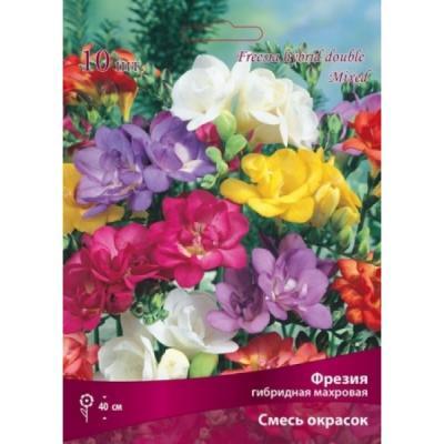 Фрезия гибридная смесь окрасок/К 10шт Поиск Инвест в интернет гипермаркете «Планета Лета». Фото Фрезия гибридная смесь окрасок/К 10шт в интернет гипермаркете «Планета Лета». Фото