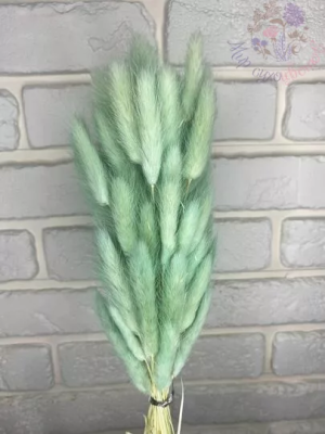 Лагурус ментоловый1шт в интернет гипермаркете «Планета Лета». Фото