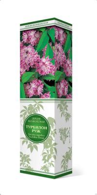 Дейция великолепная Турбилон Руж/ЦКор П в интернет гипермаркете «Планета Лета». Фото