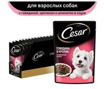 Корм консервированный Cesar, для взрослых собак, с говядиной, кроликом и шпинатом в соусе, 28 шт х 8  в интернет гипермаркете «Планета Лета». Фото Корм консервированный Cesar, для взрослых собак, с говядиной, кроликом и шпинатом в соусе, 28 шт х 8 в интернет гипермаркете «Планета Лета». Фото