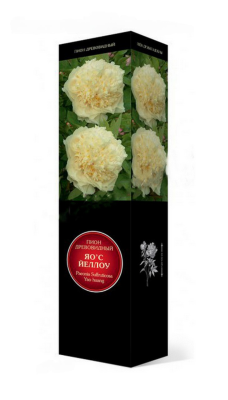 Пион древовидный Йеллоу Краун/ЦКорЛюкс в интернет гипермаркете «Планета Лета». Фото