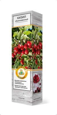 Кизил обыкновенный/ЦКор в интернет гипермаркете «Планета Лета». Фото