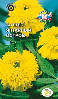 Тагетес Янтарный остров прямостоячий в интернет гипермаркете «Планета Лета». Фото