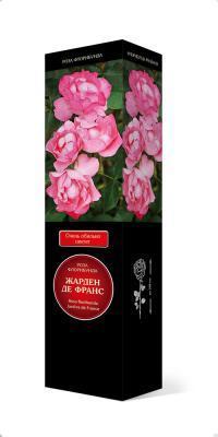 Роза Мейян флорибунда Жарден де Франс П в интернет гипермаркете «Планета Лета». Фото