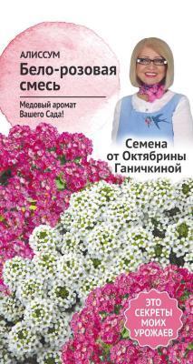 Алиссум Бело-розовая смесь 0,25г Ганичкина в интернет гипермаркете «Планета Лета». Фото