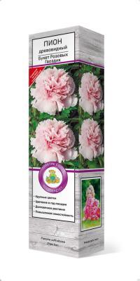Пион древовидный Букет Розовых Гвоздик  (туба) в интернет гипермаркете «Планета Лета». Фото