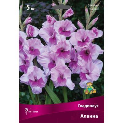 Гладиолус Аланна 12-14/К 5шт в интернет гипермаркете «Планета Лета». Фото