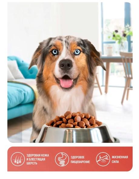 Сухой корм для собак Зоогурман СУПЕРПРЕМИУМ, для собак средних и крупных пород, Zoogurman Optimal, Т в интернет гипермаркете «Планета Лета». Фото