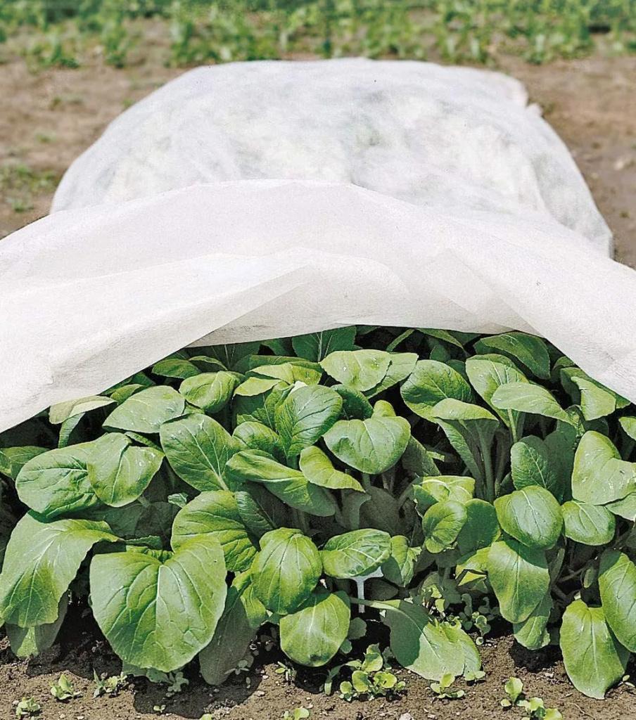 1-00010222.jpg 1-00010222.jpg