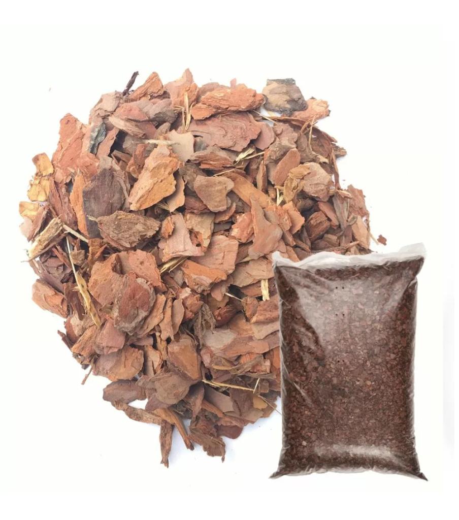 1-00057634.jpg 1-00057634.jpg